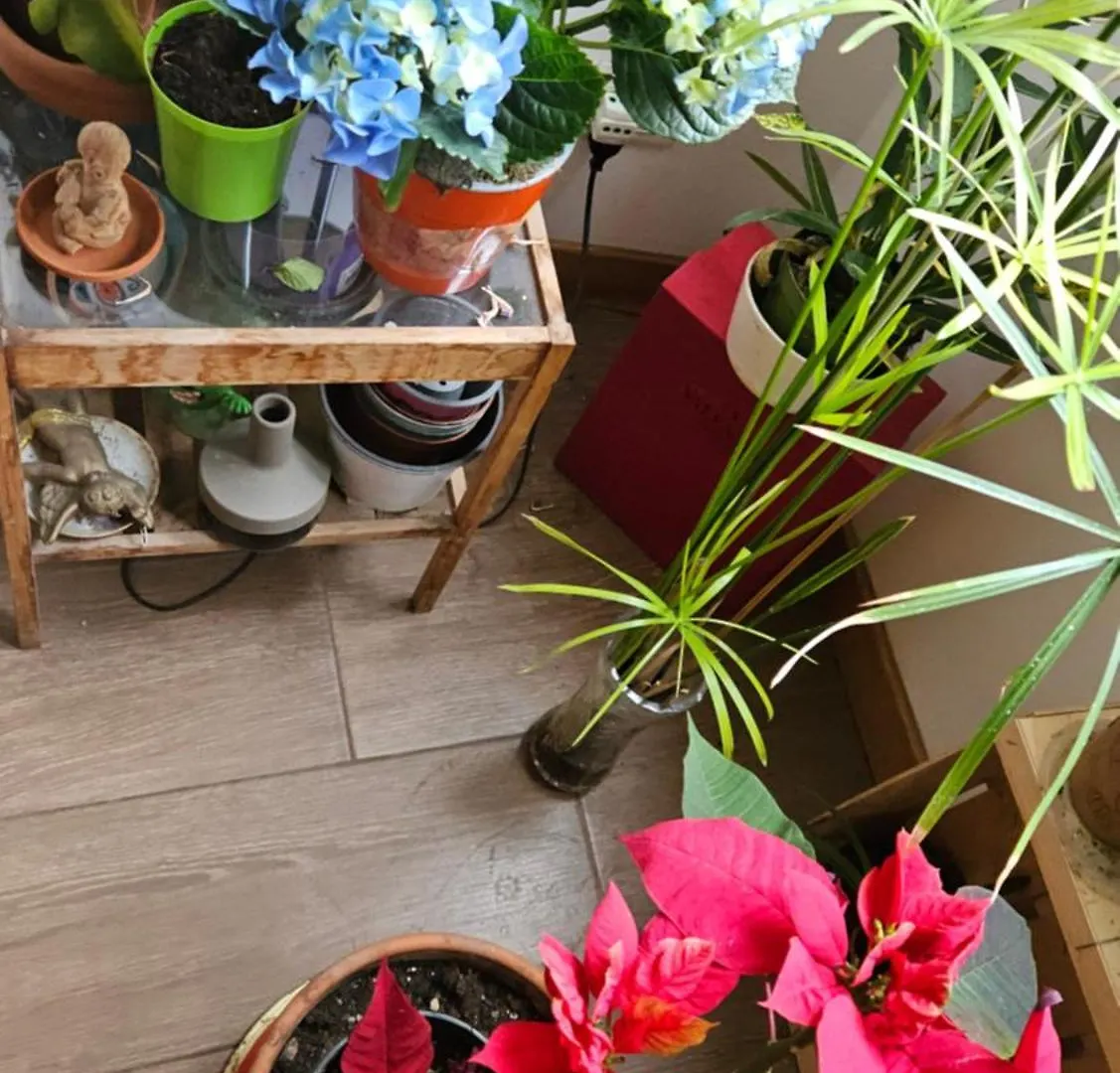 Bed and Breakfast Ulysses In Roma Bed & Breakfast